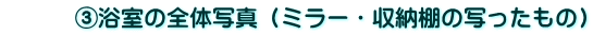 �@�@�@�B�����̑S�̎ʐ^�i�~���[�E���[�I�̎ʂ������́j